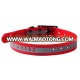 Personalised Private Label Dog Collar Engraving with Reflective Strap